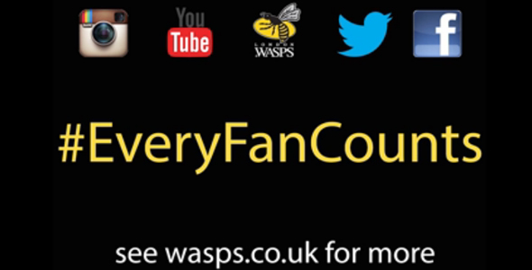 wasps fan count